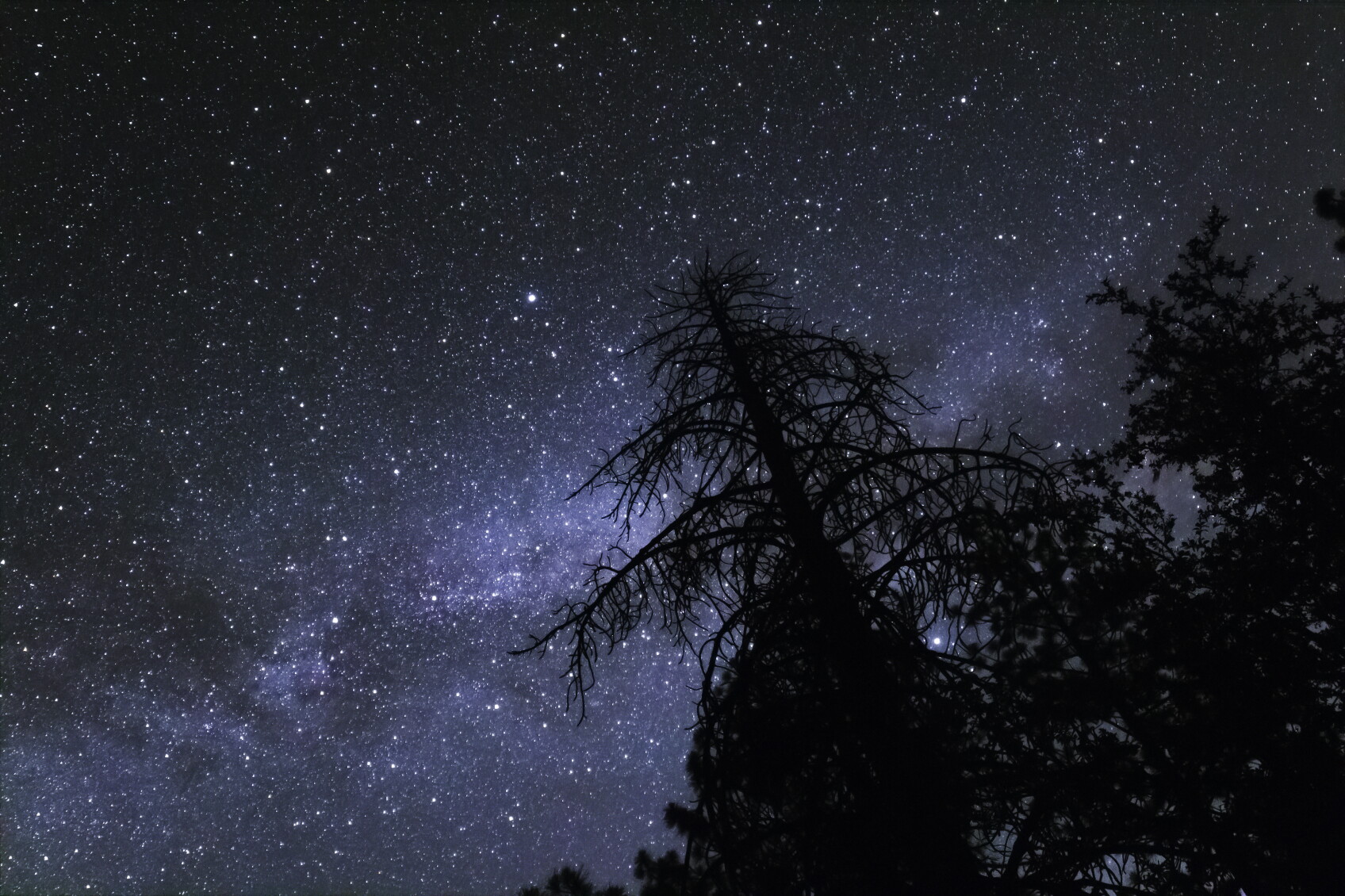 Night sky filled with stars above Mt. Pinos